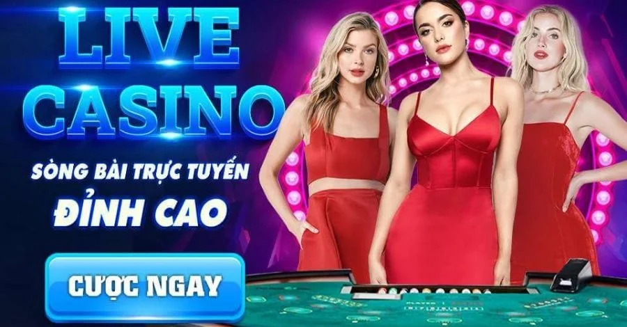 tại sao Live Casino TDTC88 lại thu hút đông đảo người chơi